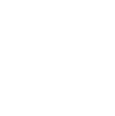 logo pure surf